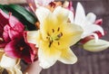 beautiful colorful lily flower bouquet on rustic wooden background. gorgeous bloom lilies on rustic wood backdrop. space for text Royalty Free Stock Photo