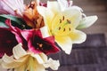 beautiful colorful lily flower bouquet on rustic wooden background. gorgeous bloom lilies on rustic wood backdrop. space for text Royalty Free Stock Photo