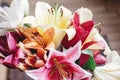 beautiful colorful lily flower bouquet on rustic wooden background. gorgeous bloom lilies on rustic wood backdrop. space for text Royalty Free Stock Photo