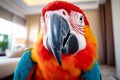 Beautiful colorful macaw parrot close up in the living room