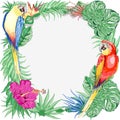 Macaws Parrots Exotic Birds Summer Nature Round Frame Vector Graphic Art Royalty Free Stock Photo