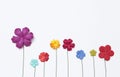 Beautiful colorful paper flower design on white paper texture background, Royalty Free Stock Photo