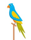 Beautiful colorful parrot Ara Macaw. Vector illustration in flat style Royalty Free Stock Photo