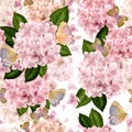 Beautiful colorful pattern with flowers and leaves of hydrangea.