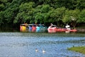 Beautiful colorful pedal boats on the edge of the park pond