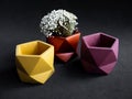 Beautiful colorful pentagon shape concrete planter and dried flower. Handmade geometric cement pot for home decoration