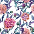 Beautiful colorful peony flowers with green and purple leaves on white background. Seamless floral pattern. Watercolor painting.