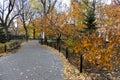 Colorful Plants and Trees along an Empty Path at Washington Square Park during Autumn in Greenwich Village of New York City Royalty Free Stock Photo
