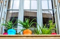 Beautiful Colorful Potted Houseplants on Retro Window Sill of an Old House in Heraclion, Crete Island, Greece. Royalty Free Stock Photo