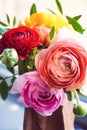 Beautiful Colorful Ranunculus Buttercup Flowers Bunch Vertical Royalty Free Stock Photo