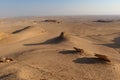 Beautiful colorful sand dunes in the desert of Fayoum