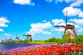 Beautiful colorful spring landscape in Netherlands, Europe. Famous windmills in Kinderdijk village with tulips flowers flowerbed Royalty Free Stock Photo