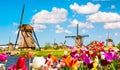 Beautiful colorful spring landscape in Netherlands, Europe. Famous windmills in Kinderdijk village with tulips flowers flowerbed