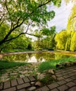 A beautiful colorful  spring natural landscape with a lake in the park, surrounded by green foliage of trees in the sunlight and a Royalty Free Stock Photo