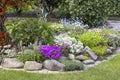 Beautiful colorful spring rock garden, blooming flowers Royalty Free Stock Photo