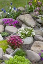 Beautiful colorful spring rock garden, blooming flowers Royalty Free Stock Photo