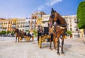 Colorful street of Seville, Andalusia, Spain Royalty Free Stock Photo