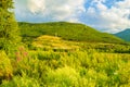 Beautiful colorful summer fields Rhodope mountain Bulgaria Royalty Free Stock Photo