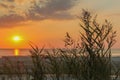 Beautiful colorful sunset with dramatic clouds, dusk and seaside herbs at sea Royalty Free Stock Photo