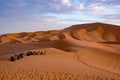 Beautiful colorful sunset in Erg Chebbi Dunes, Sahara Desert, Merzouga, Morocco Royalty Free Stock Photo
