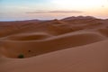 Beautiful colorful sunset in Erg Chebbi Dunes, Sahara Desert, Merzouga, Morocco Royalty Free Stock Photo