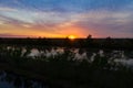 Beautiful and colorful sunset in the everglades with large lake Royalty Free Stock Photo