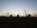 Beautiful Colorful Sunset Over Cross on Churchyard Cemetery Graveyard Royalty Free Stock Photo