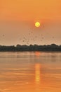 Beautiful colorful sunset over Dal Lake with a flock of birds taken from Nishat Bagh gardens in Srinagar, Kashmir, India