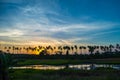 Beautiful Colorful Sunset Over Palm Trees. Royalty Free Stock Photo