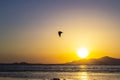 Beautiful colorful sunset over the Red sea. Egypt