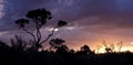 Beautiful and colorful sunset on the Savannas of Brazil