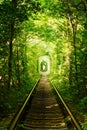 Beautiful colorful tree alley in forest, natural background. Magic Tunnel of Love, green trees and the railroad, in Ukraine.