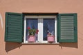 Beautiful colorful windows with flowers in Corfu island, Greece Royalty Free Stock Photo