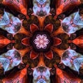 Beautiful and colorfull kaleidoscope photo