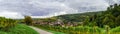 Beautiful colorized autumn hills in Alsace, panoramic view Royalty Free Stock Photo