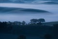 Beautiful colors of green spring panorama landscape of Tuscany. Most popular place in Italy. Green fields and blue sky and Cypress Royalty Free Stock Photo