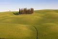 Beautiful colors of green spring panorama landscape of Tuscany. Most popular place in Italy. Green fields and blue sky and Cypress Royalty Free Stock Photo