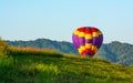 Beautiful colors of the hot air balloons flying on the cosmos flower field Royalty Free Stock Photo