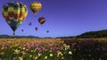 Beautiful colors of the hot air balloons flying on the cosmos flower field Royalty Free Stock Photo