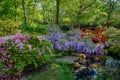 Beautiful colors in Japanese Garden in Clingendael, The Hague, Netherlands