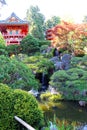 Beautiful colors of Japanese tea garden in autumn, San Francisco