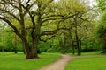 Beautiful colors of nature in the spring Park