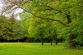 Beautiful colors of nature in the spring Park