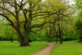 Beautiful colors of nature in the spring Park