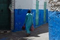 Beautiful colors and textures of Asiah, Morocco.