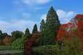 A beautiful and colouful Autumn woodland scene Royalty Free Stock Photo