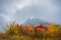 Beautiful colour autumn landscape in mountains