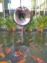 Fish pond at hotel in Khonkaen, Thailand