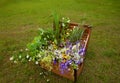 Beautiful coloured summer flowers bouquet