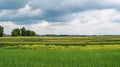 Beautiful colourful agriculture field under the dark cloudy sky Royalty Free Stock Photo